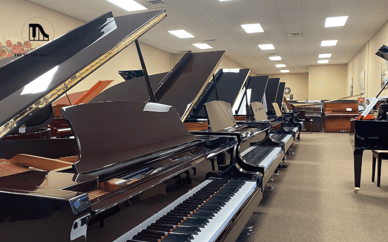Nơi bán đàn Piano chính hãng ở Quận 9 - Thủ Đức