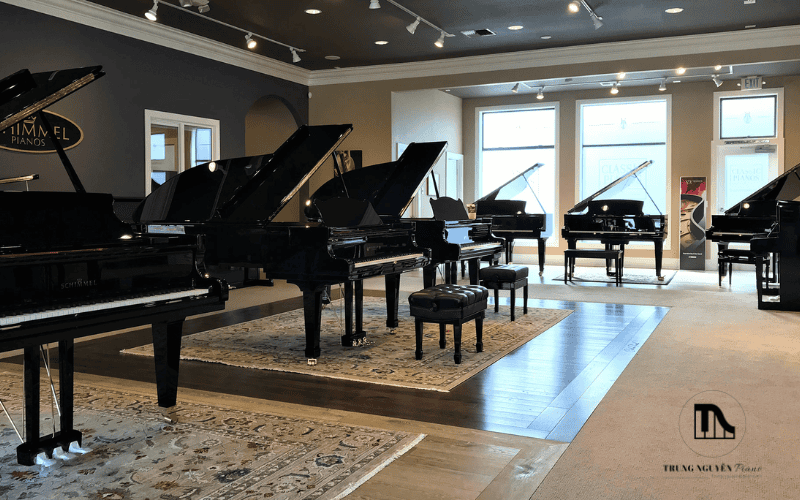 Mua đàn Piano cơ chất lượng tại quận 9 - Thủ Đức 3 Địa chỉ mua đàn Piano cơ chất lượng tại quận 9 - Thủ Đức