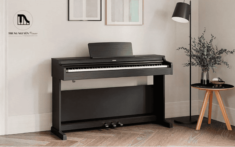 Vì sao đàn Piano điện Yamaha lại được ưa chuộng và sử dụng phổ biến?