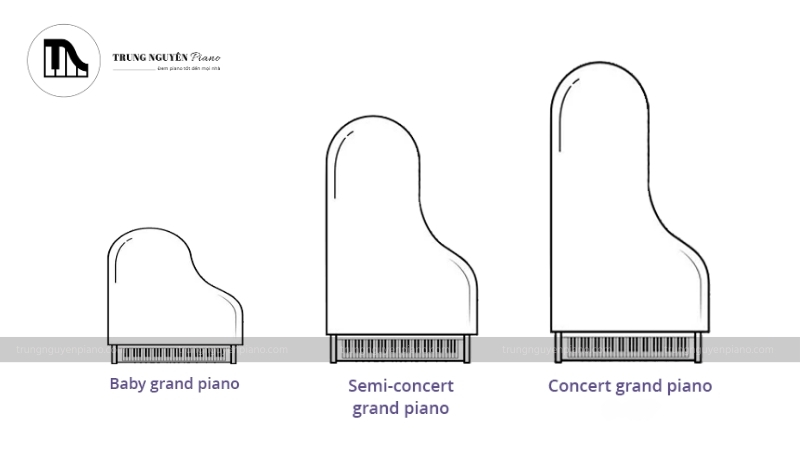 Kích thước đàn Piano - Cách chọn phù hợp với không gian và nhu cầu 5 Kích thước đàn Grand Piano