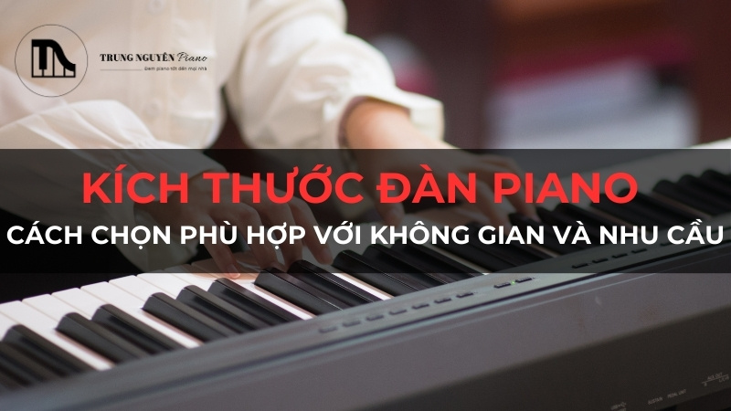 Kích thước đàn Piano - Cách chọn phù hợp với không gian và nhu cầu