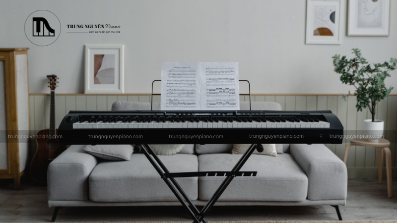 Kích thước đàn Piano - Cách chọn phù hợp với không gian và nhu cầu 6 Lưu ý khi chọn kích thước đàn piano điện