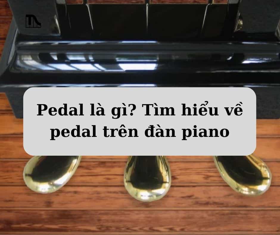 Pedal là gì? Tìm hiểu về pedal trên đàn piano 1 pedal