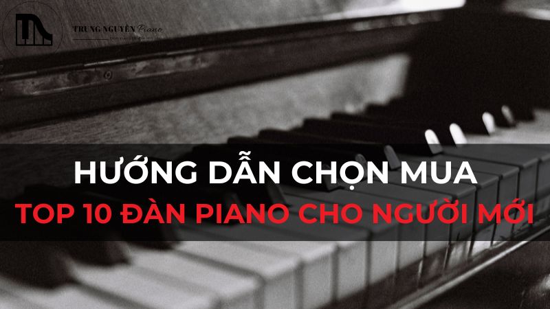 đàn piano cho người mới học