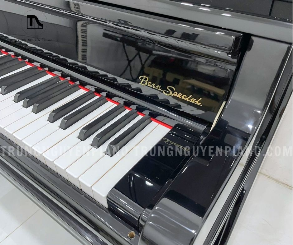 Đàn Piano Bernstein BU550DE 16 bernstein bu550de 4