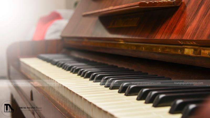 Lựa chọn đàn có nhiều tính năng hỗ trợ sẽ giúp ích rất nhiều cho quá trình học tập