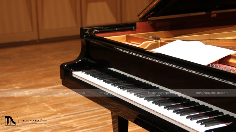 Ghế đàn, giá nhạc, tai nghe,... là những phụ kiện cần thiết bạn nên chuẩn bị