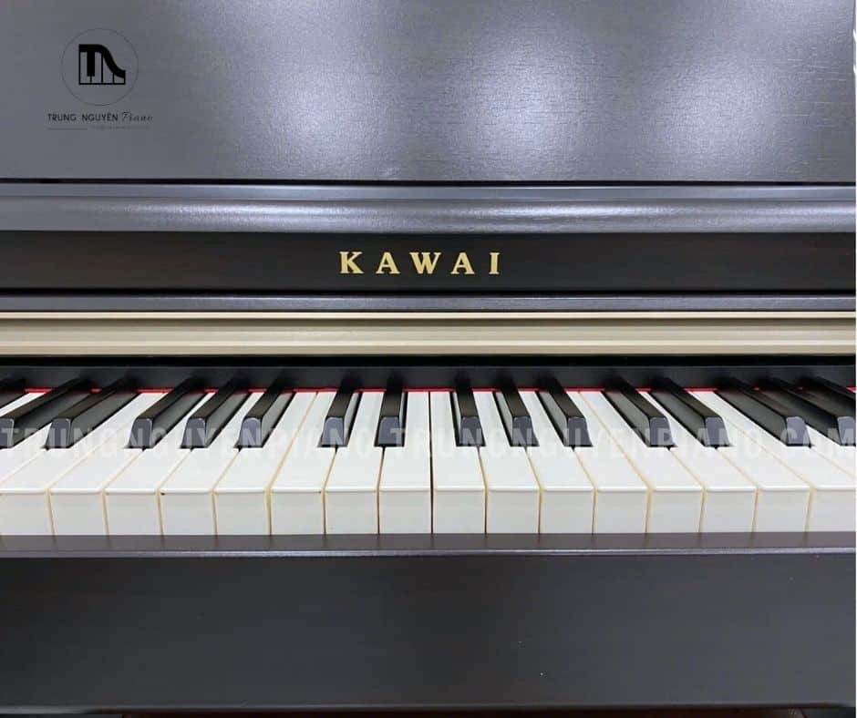 kawai cn24 5