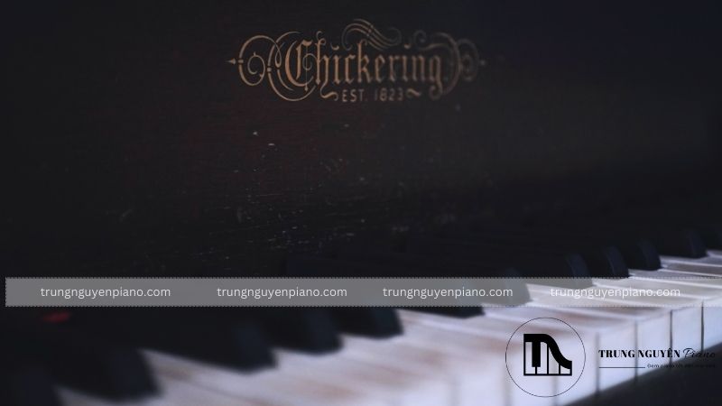 Top 10 thương hiệu đàn piano tốt nhất trên thế giới hiện nay 10 Âm thanh (Tone) đàn piano