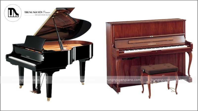 Bảng so sánh chi tiết Grand Piano và Upright Piano