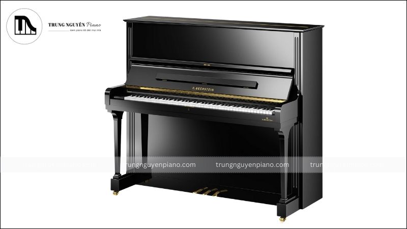 Bechstein, được thành lập tại Berlin, Đức vào năm 1853