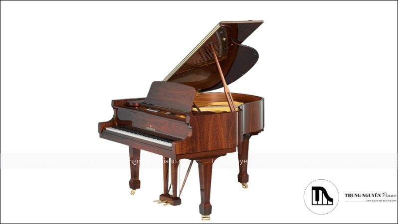 Top 10 thương hiệu đàn piano tốt nhất trên thế giới hiện nay 5 Bechstein là biểu tượng của chất lượng và sự sang trọng trong sản xuất đàn piano