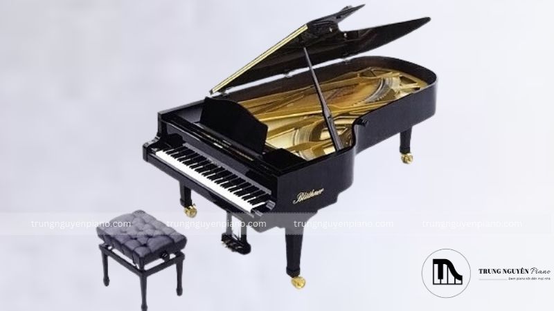 Top 10 thương hiệu đàn piano tốt nhất trên thế giới hiện nay 6 Blüthner nổi tiếng với truyền thống gia đình và sự hoàn hảo trong từng sản phẩm