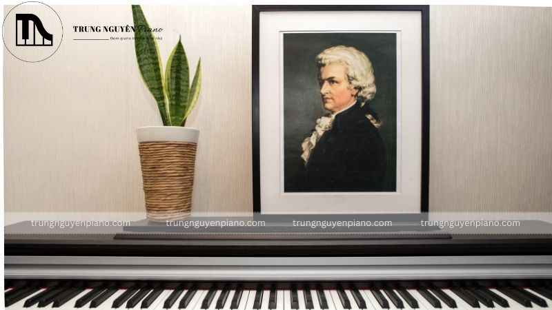 Bộ khung đàn là phần cốt lõi chịu lực căng của dây đàn