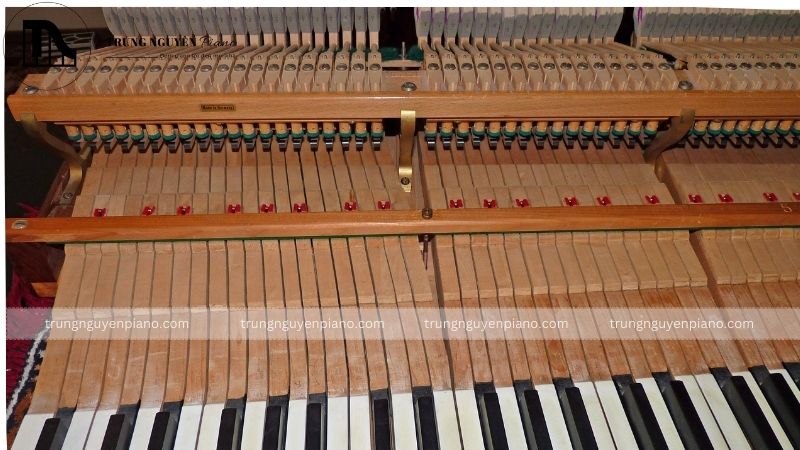 Piano Upright là gì? Phân biệt Piano Upright và Grand chi tiết 5 Bộ máy hoạt động (action)