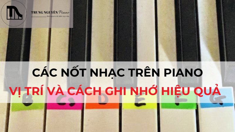 Các nốt nhạc trên đàn Piano: Vị trí và cách ghi nhớ hiệu quả