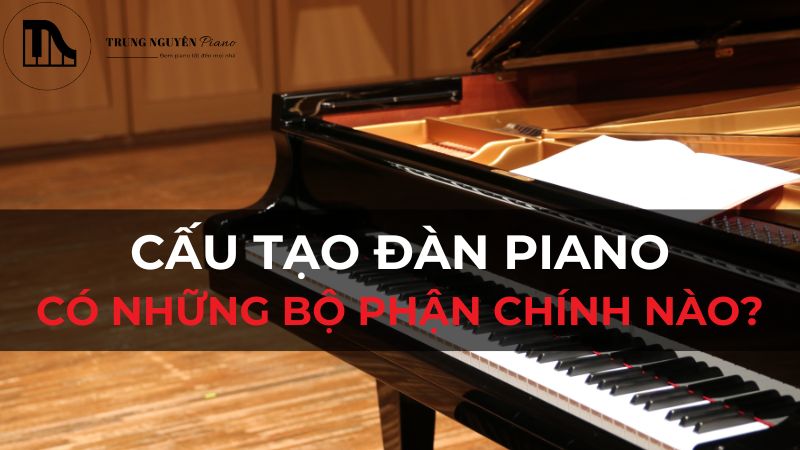 cấu tạo đàn piano