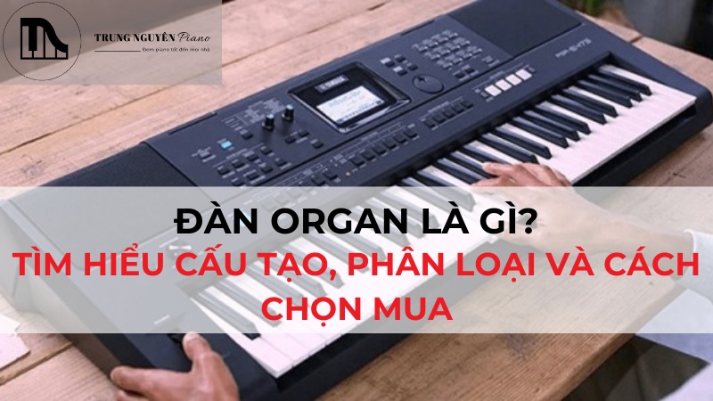 Đàn Organ là gì? Tìm hiểu cấu tạo, phân loại và cách chọn mua phù hợp