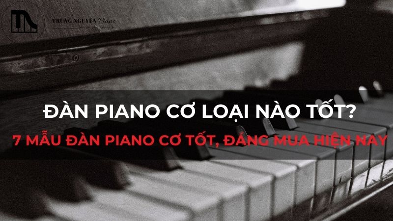 Đàn piano cơ loại nào tốt