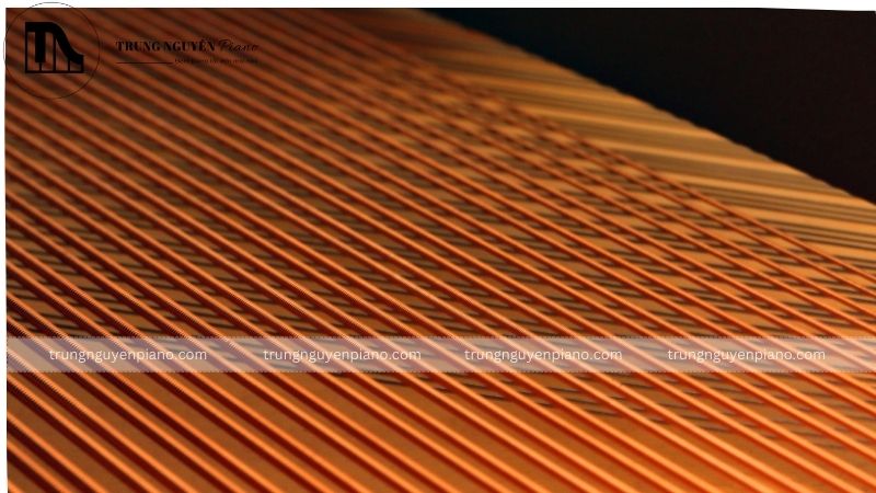 Dây đàn là nơi tạo ra âm thanh khi búa đàn tác động vào