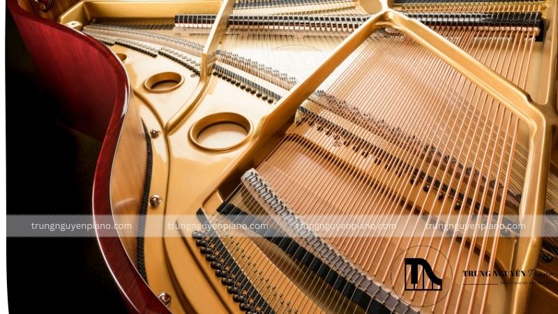 Piano Upright là gì? Phân biệt Piano Upright và Grand chi tiết 4 Dây đàn (string)