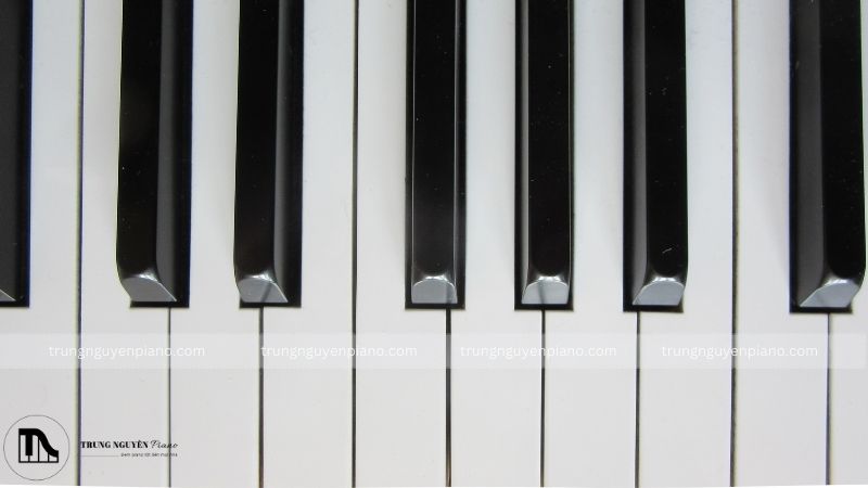 Độ cong của ngón tay ảnh hưởng trực tiếp đến lực nhấn phím và âm thanh