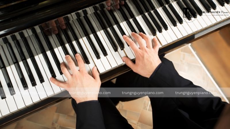 Dựa trên trình độ