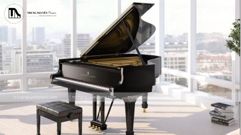 Grand Piano - Đại dương cầm
