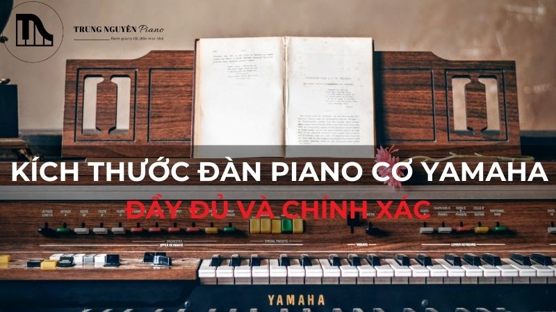 Kích thước đàn piano cơ Yamaha đầy đủ và chính xác