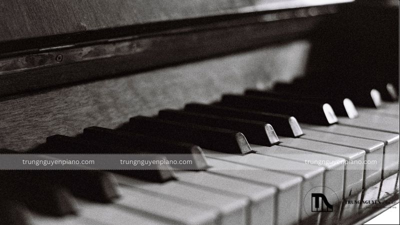 Kinh nghiệm chọn mua đàn piano cơ phù hợp và chất lượng