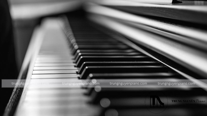 Top 10 thương hiệu đàn piano tốt nhất trên thế giới hiện nay 12 Lưu ý khi chọn mua đàn Piano