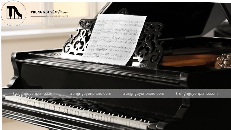 Phân loại đàn grand piano phổ biến
