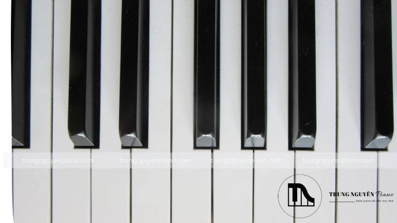 Piano Upright là gì? Phân biệt Piano Upright và Grand chi tiết 7 Phím đàn (keys)