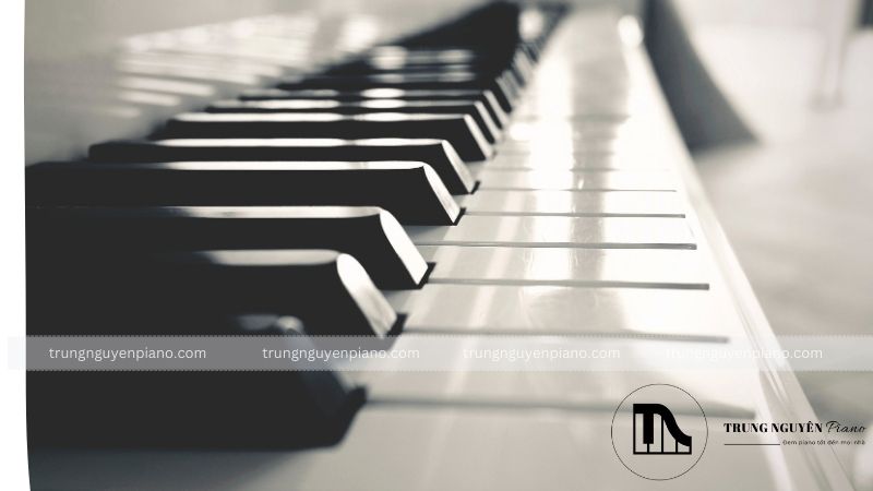 Phím đàn là phần mà người chơi tác động trực tiếp để tạo ra âm thanh