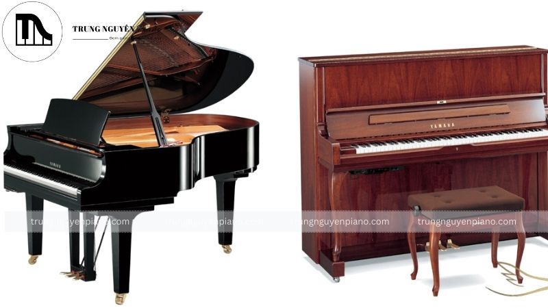 Sự khác biệt giữa đàn grand piano và piano upright