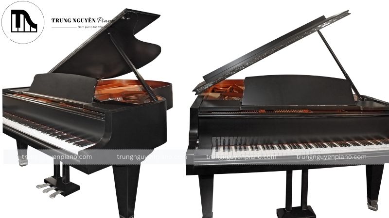 Piano Upright là gì? Phân biệt Piano Upright và Grand chi tiết 10 Sự khác biệt giữa piano upright và grand piano