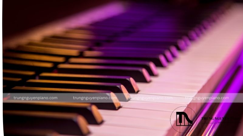 Tấm đàn là bộ phận quan trọng giúp khuếch đại âm thanh