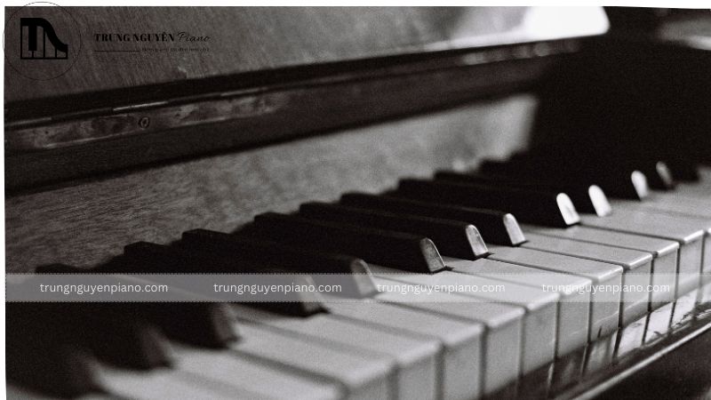 Piano Upright là gì? Phân biệt Piano Upright và Grand chi tiết 3 Tấm đàn (soundboard)