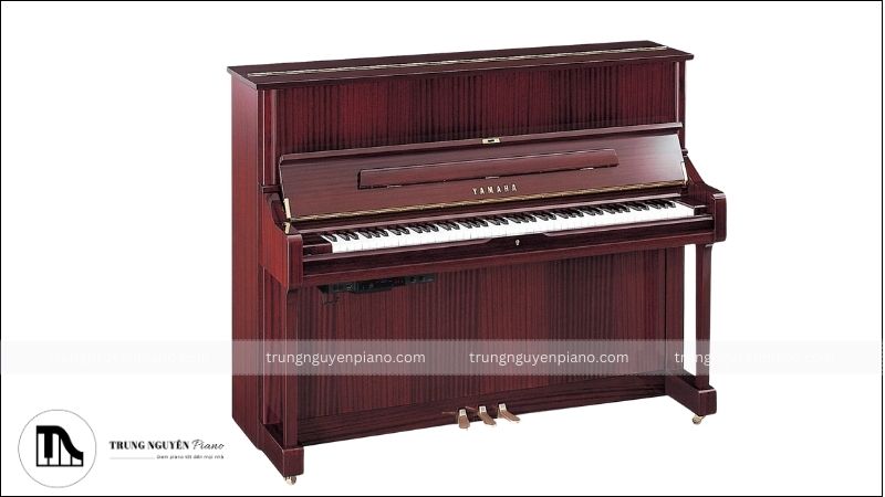 Upright Piano - Dương cầm đứng