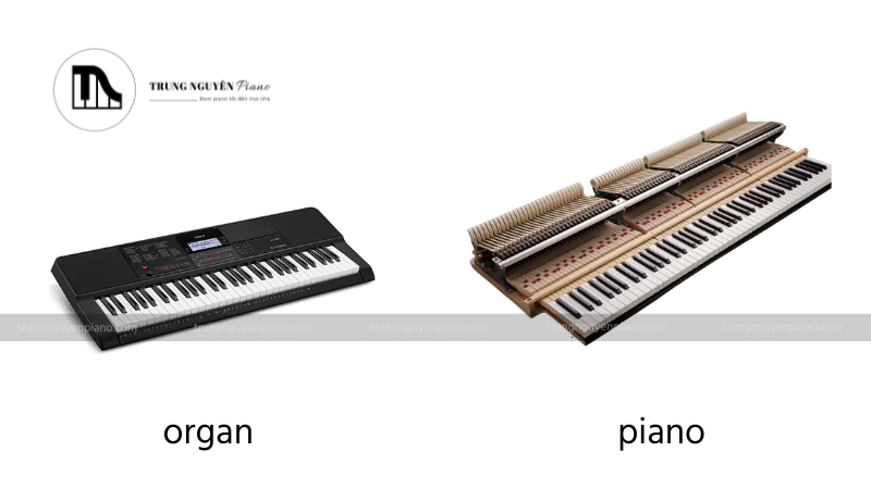 Giải đáp chi tiết: Học organ có chơi được piano không? 3 Bàn phím của Organ và Piano