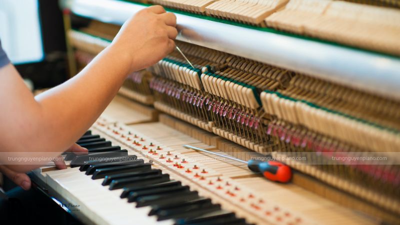 Nên lên dây đàn từ 6 tháng đến 1 năm/lần để đảm bảo âm thanh