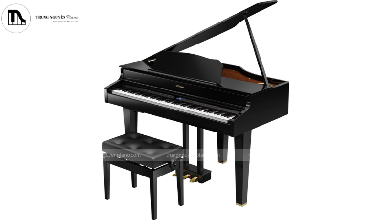 GP-Grand Series Roland