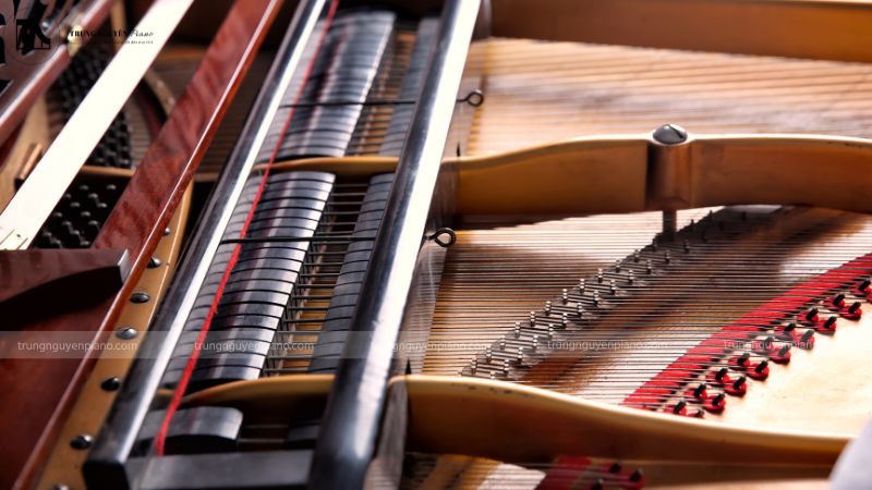Nguyên lý hoạt động cơ bản của đàn piano