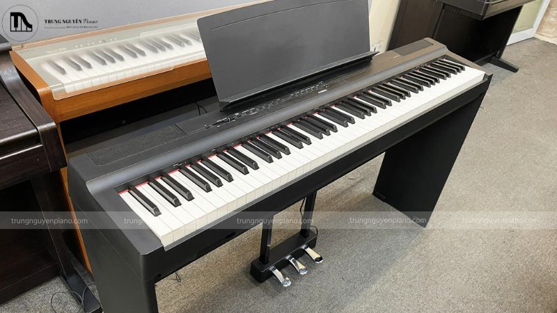 Đàn Piano Điện