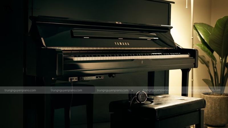 Đàn Piano Câm