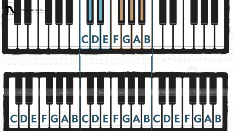 7 nốt nhạc cơ bản: Đô, Rê, Mi, Fa, Sol, La, Si trên Piano
