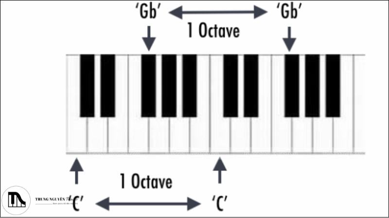 octave trên bàn phím piano
