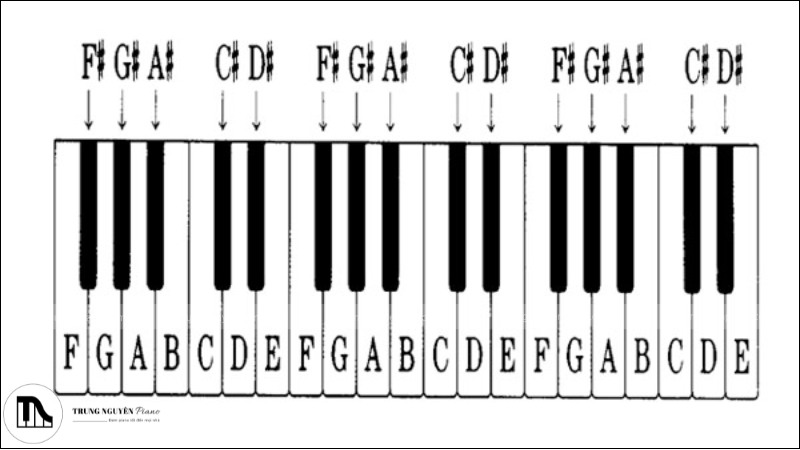 Vị trí các phím trắng trên đàn Piano