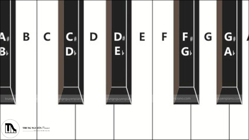 Ví dụ về nốt cao hơn nửa cung so với nốt trắng liền trước