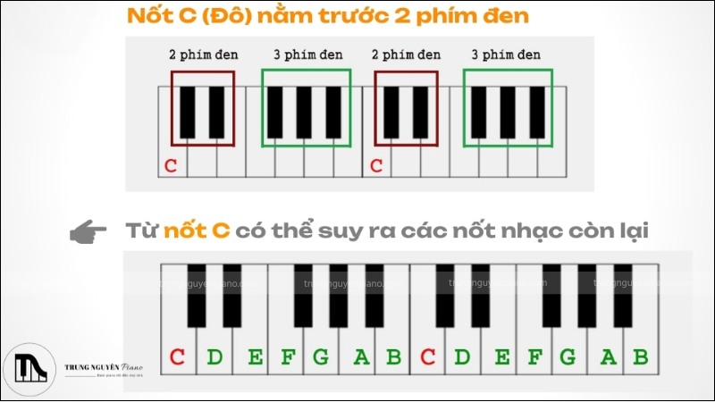 Sơ đồ bàn phím piano với các nhóm phím đen 2-3